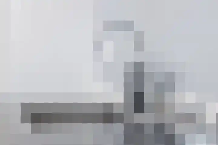 Hesperenzijstraat 7 Tilburg thumbnail 13