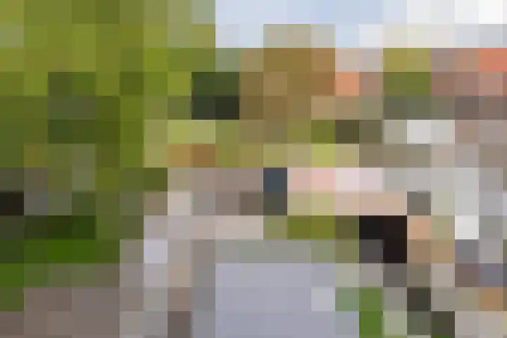 Hesperenzijstraat 7 Tilburg thumbnail 24