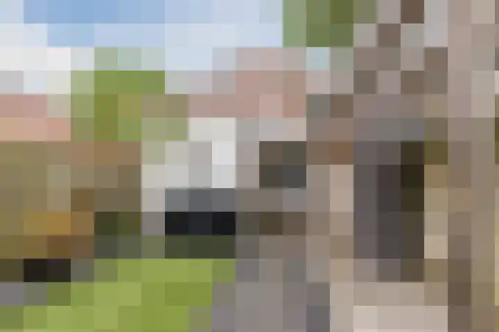 Hesperenzijstraat 7 Tilburg thumbnail 27