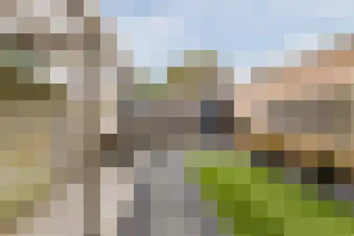 Hesperenzijstraat 7 Tilburg thumbnail 5