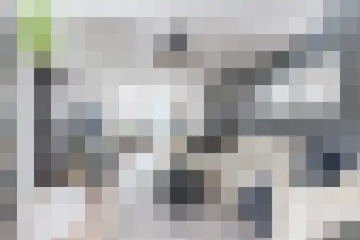 Hesperenzijstraat 7 Tilburg thumbnail 6