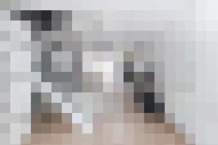 Hesperenzijstraat 7 Tilburg thumbnail 9