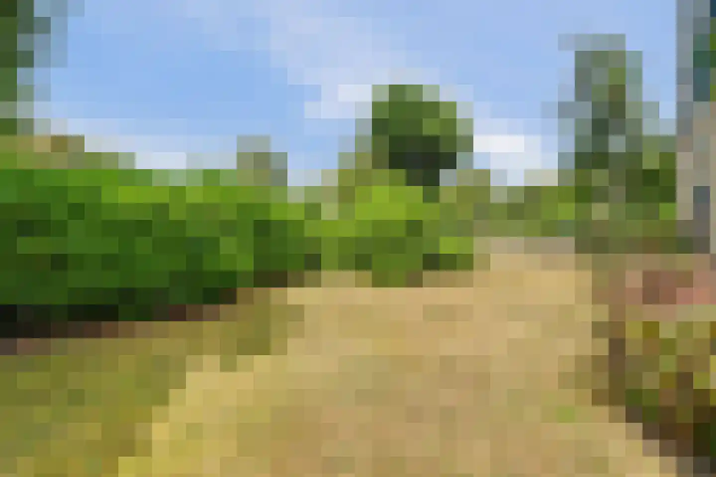 Hesselbergshoofd 4 Vrouwenpolder thumbnail 20