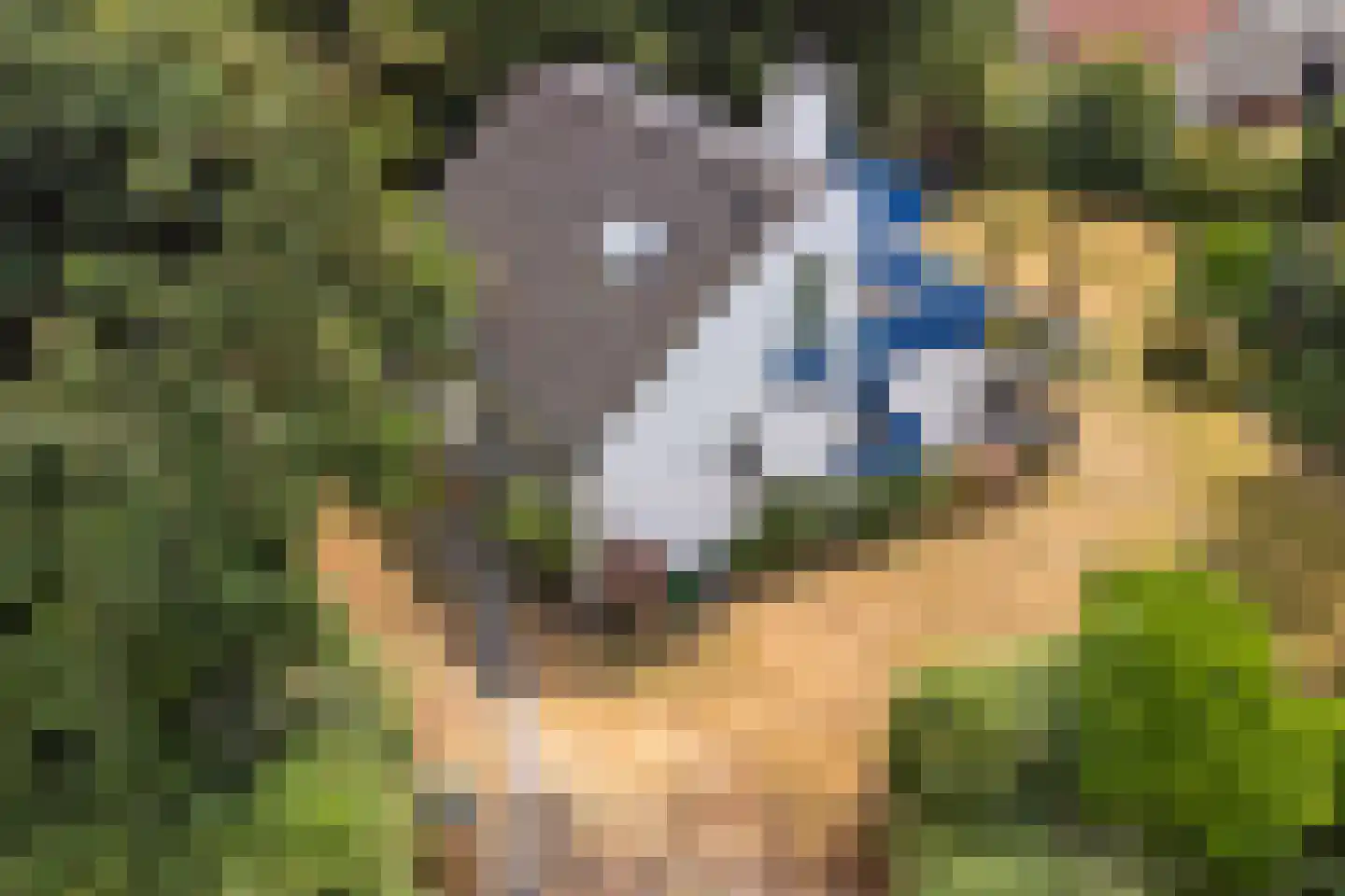 Hesselbergshoofd 4 Vrouwenpolder thumbnail 23