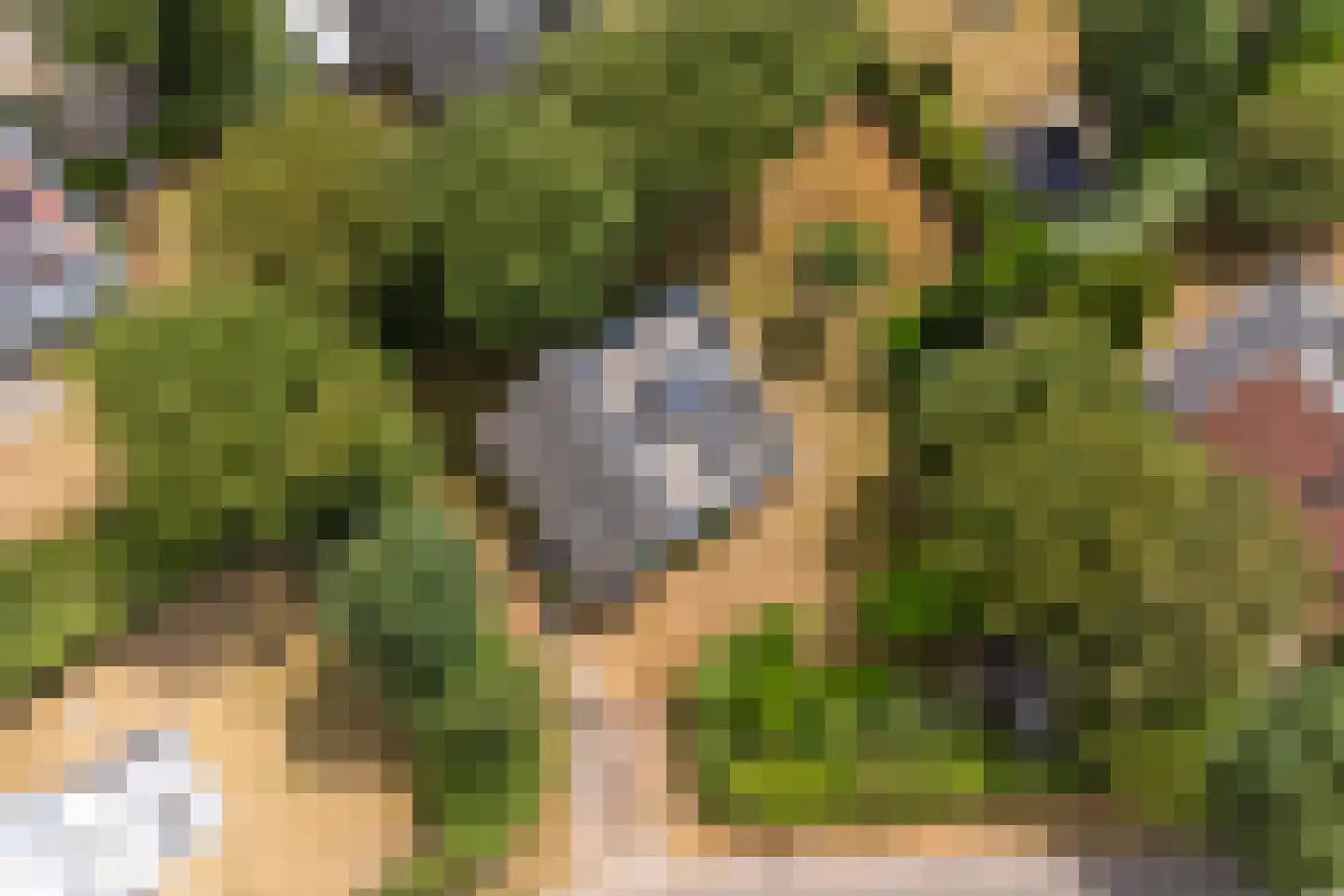 Hesselbergshoofd 4 Vrouwenpolder thumbnail 24
