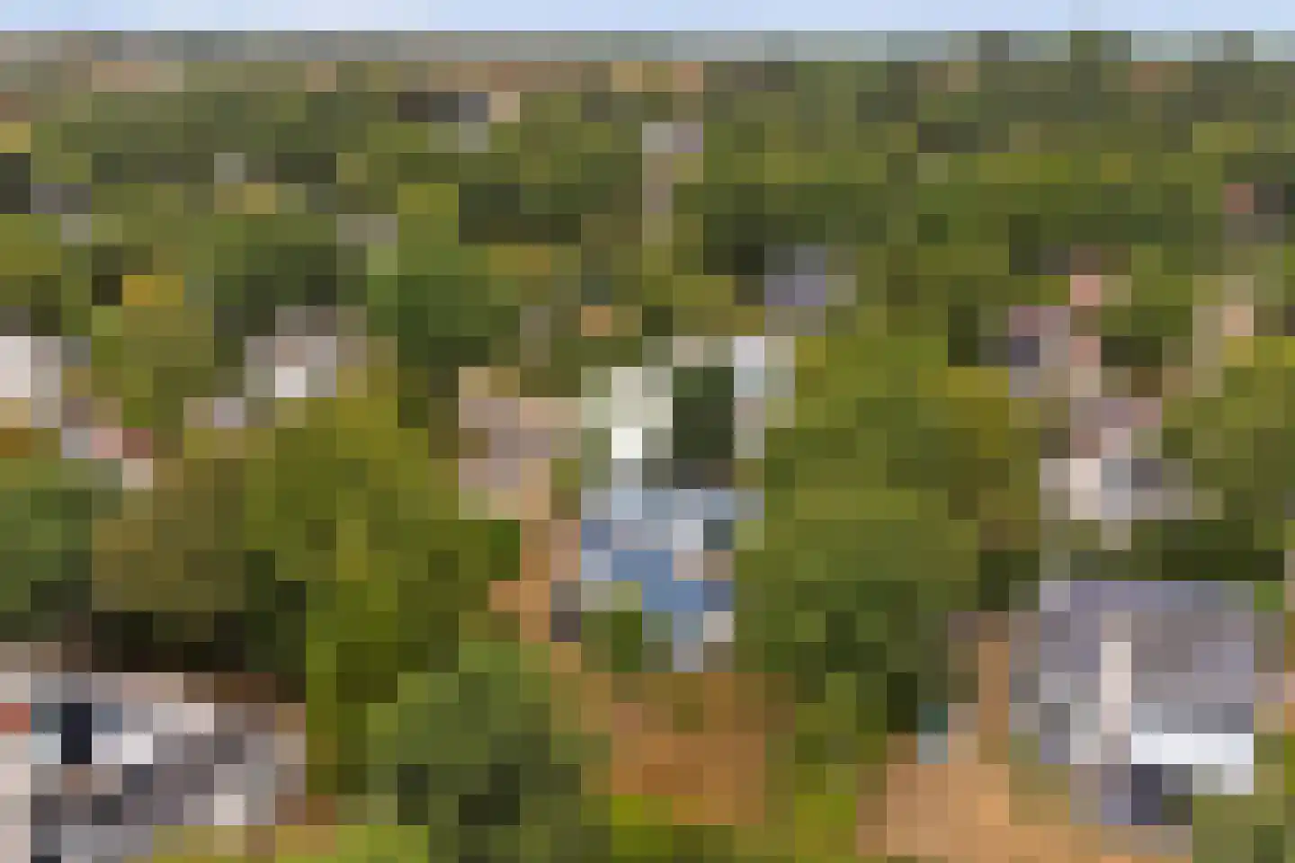 Hesselbergshoofd 4 Vrouwenpolder thumbnail 25