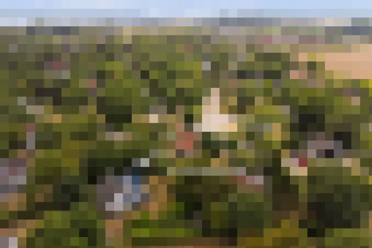 Hesselbergshoofd 4 Vrouwenpolder thumbnail 26