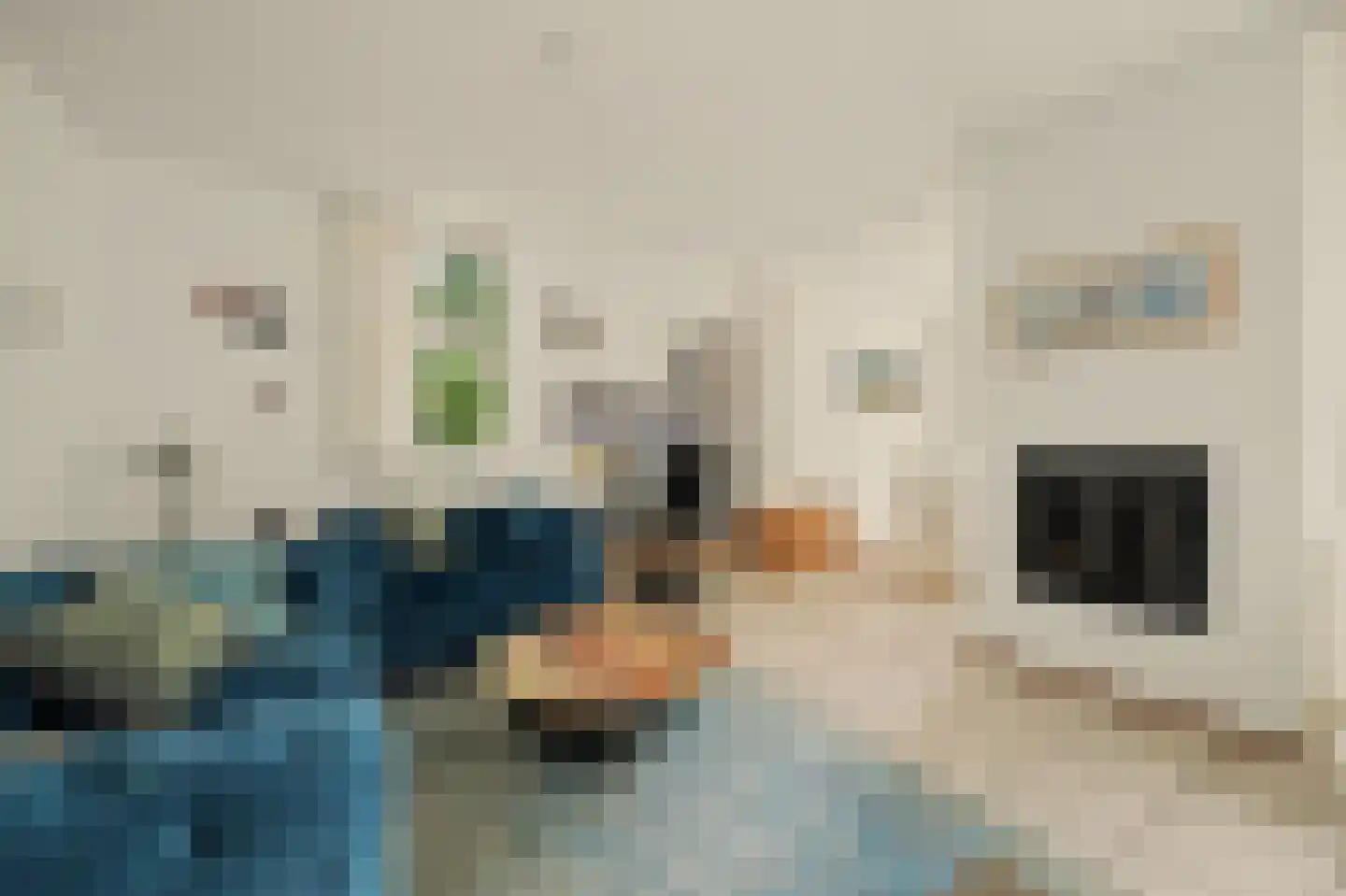 Hesselbergshoofd 4 Vrouwenpolder thumbnail 4