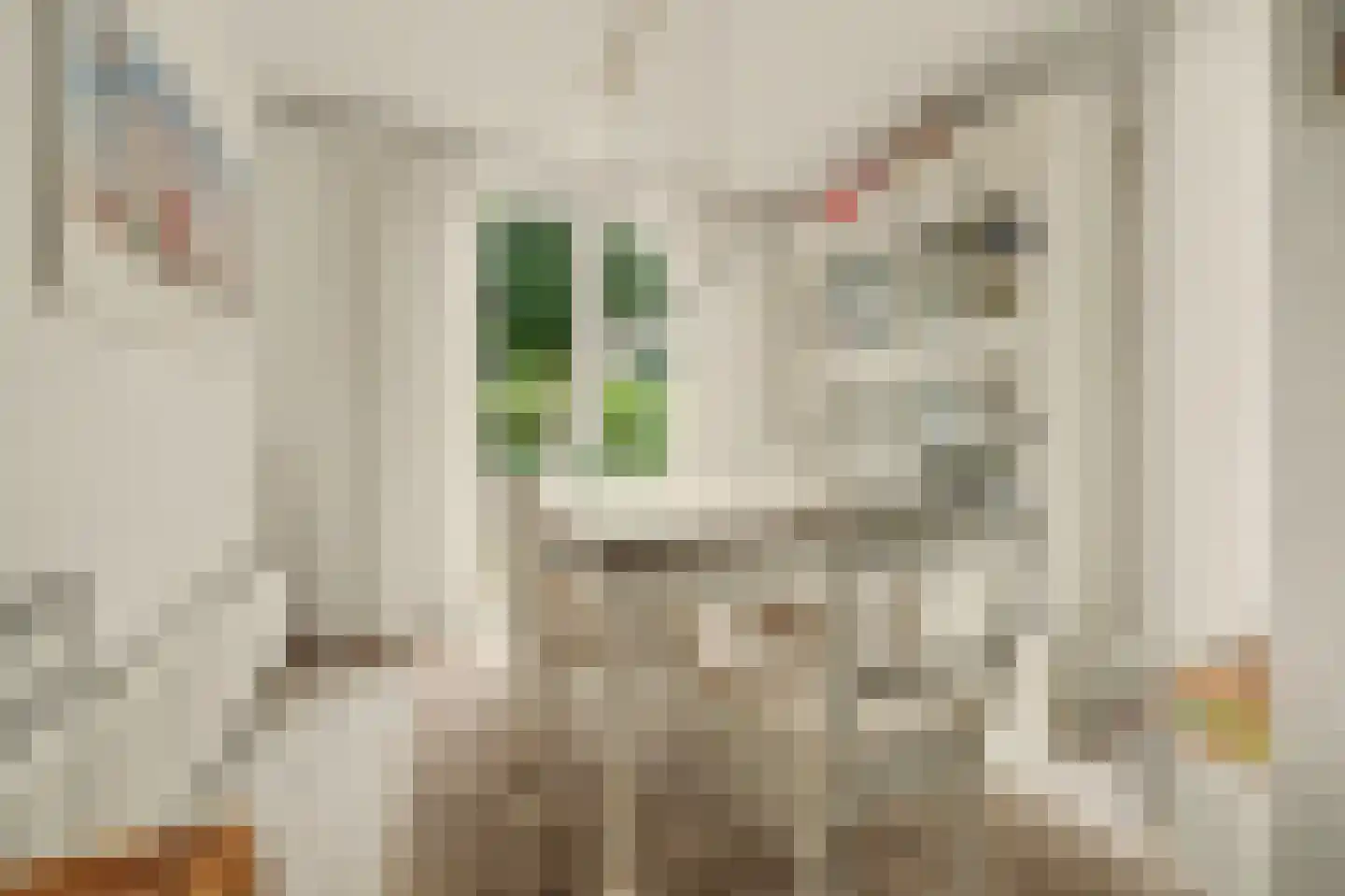 Hesselbergshoofd 4 Vrouwenpolder thumbnail 6