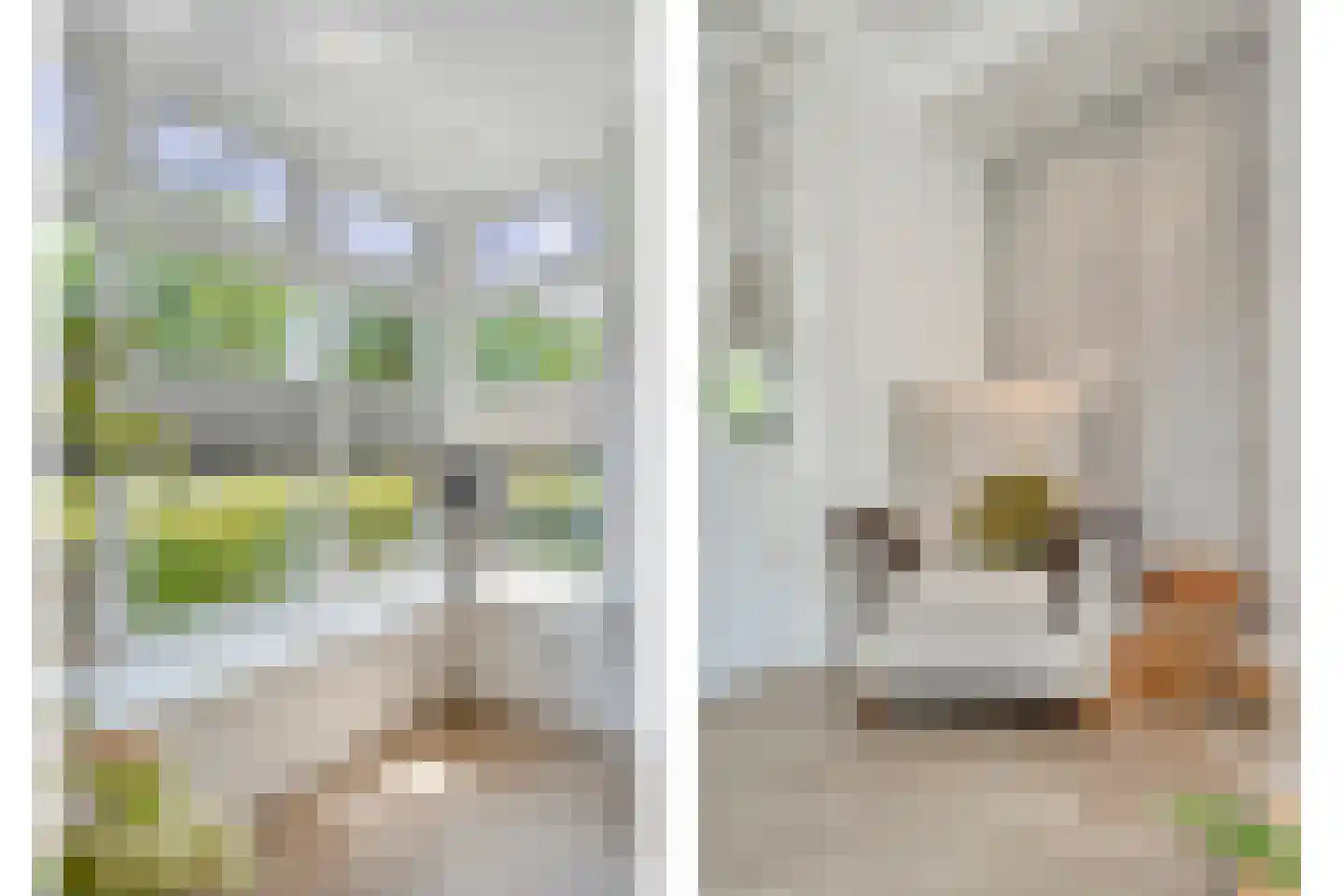 Hesselerbeek 16 Borne thumbnail 18