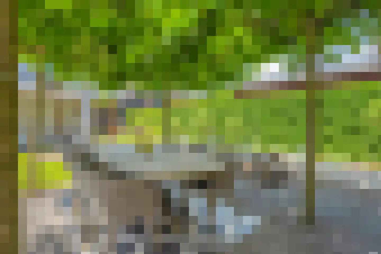 Hesselerbeek 16 Borne thumbnail 51