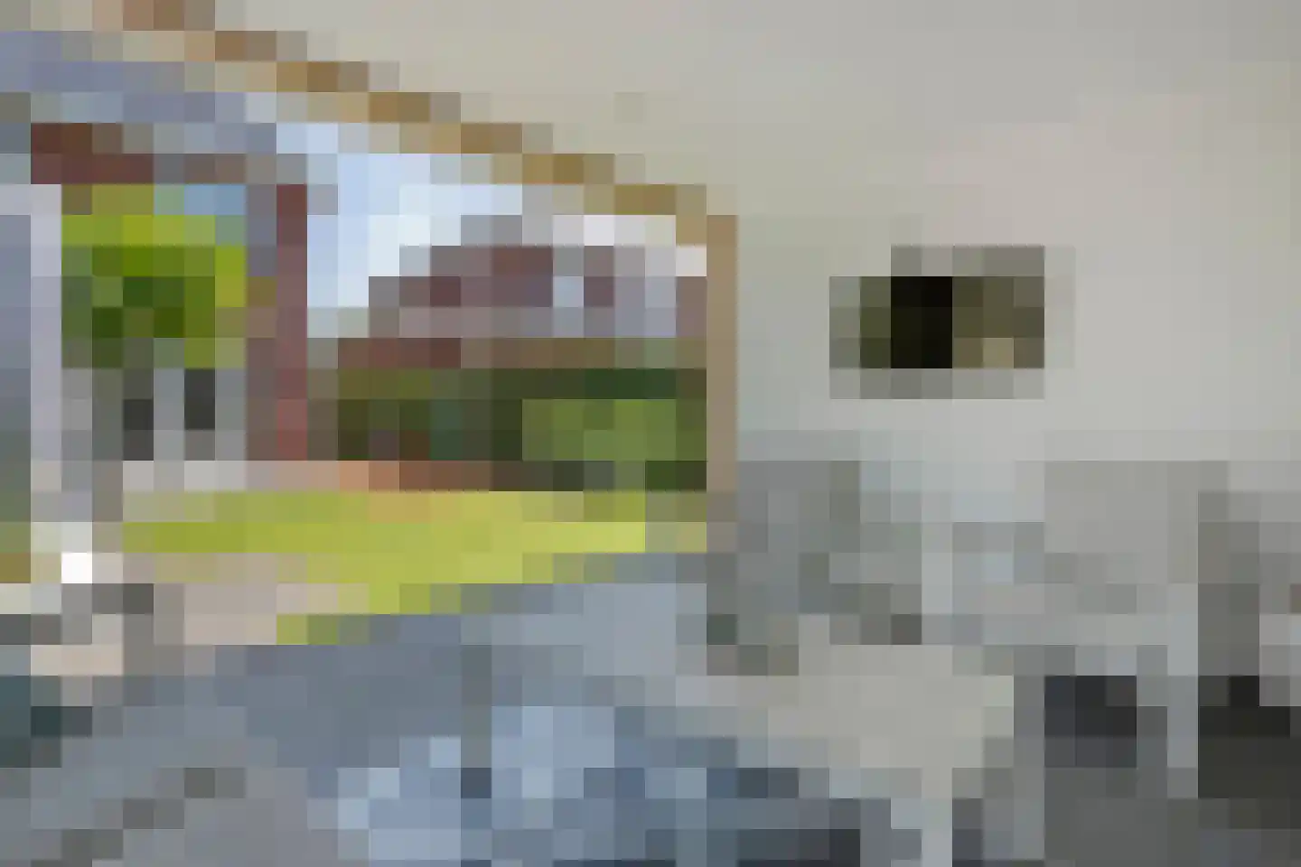 Hesselerbeek 16 Borne thumbnail 56