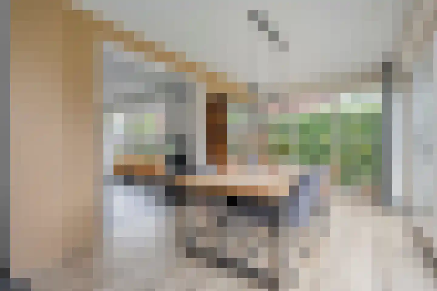 Hesselerbeek 18 Borne thumbnail 11