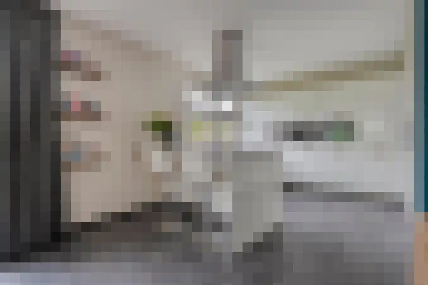 Hesselerbeek 18 Borne thumbnail 12