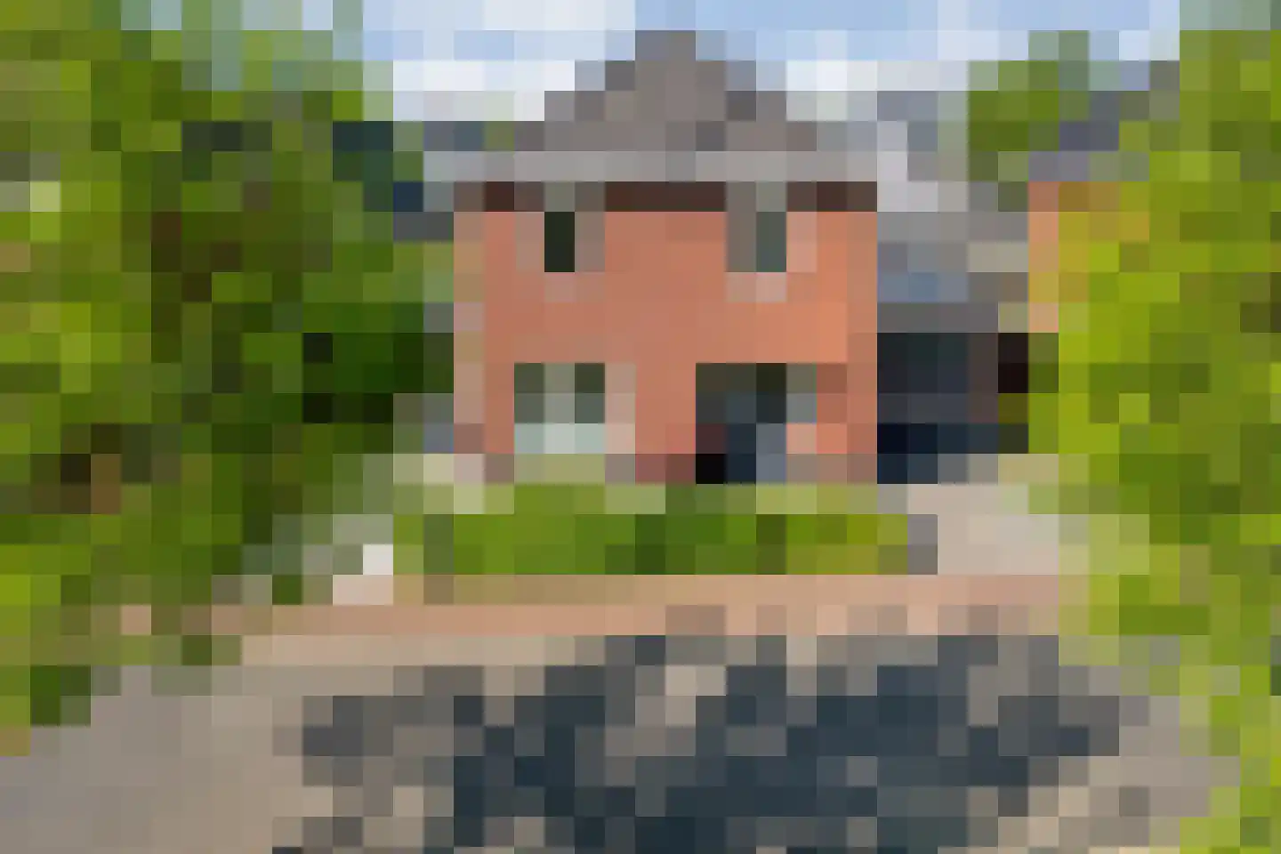 Hesselerbeek 18 Borne thumbnail 30