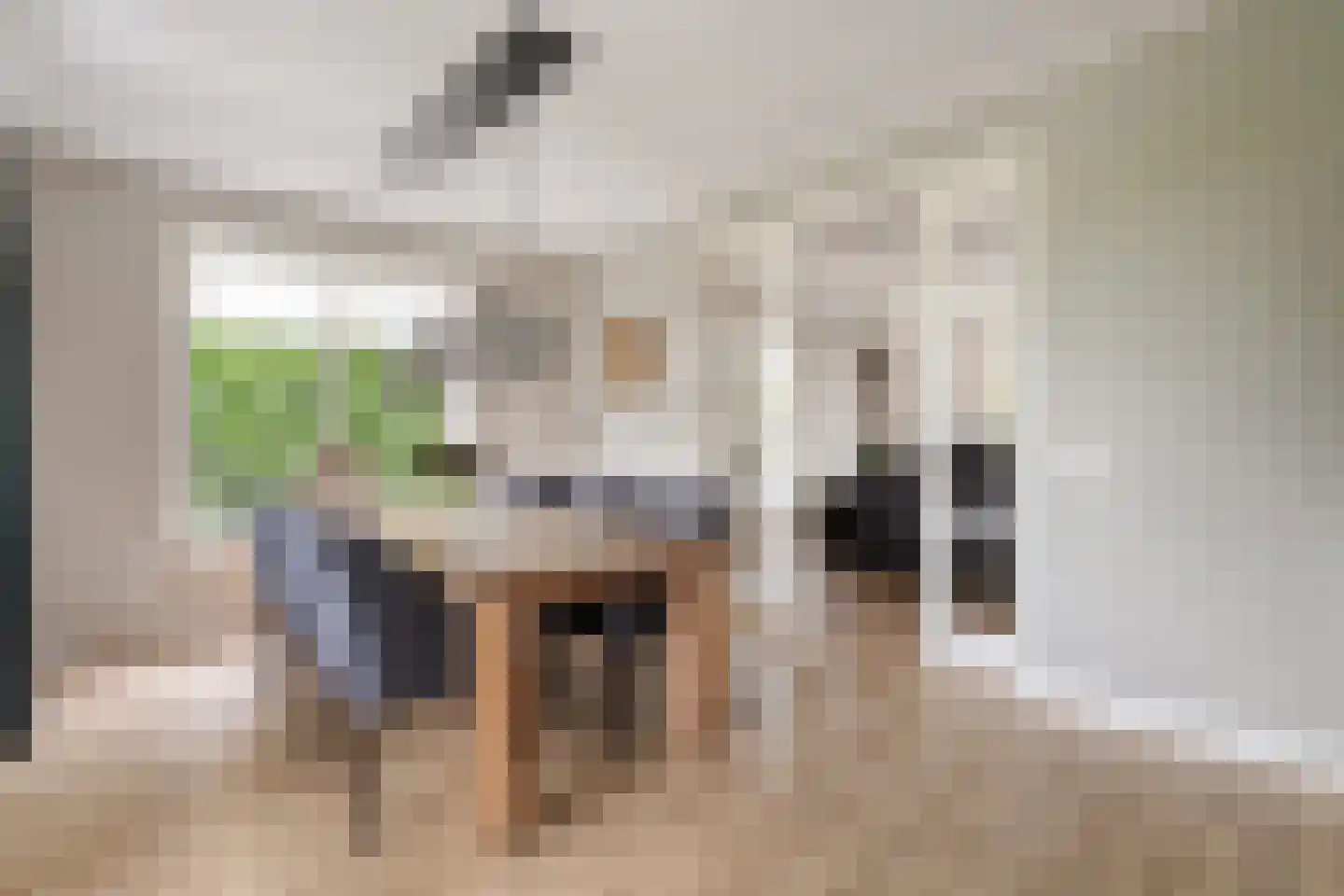 Hesselerbeek 20 Borne thumbnail 17
