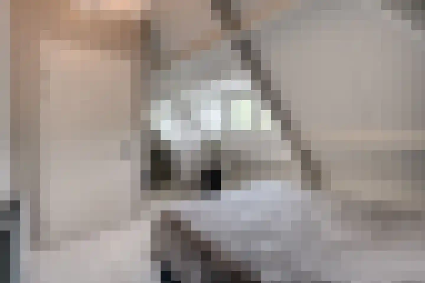 Hesselerbeek 20 Borne thumbnail 31