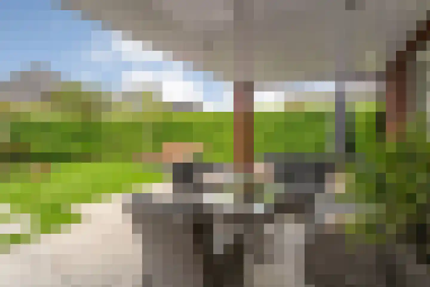 Hesselerbeek 20 Borne thumbnail 35