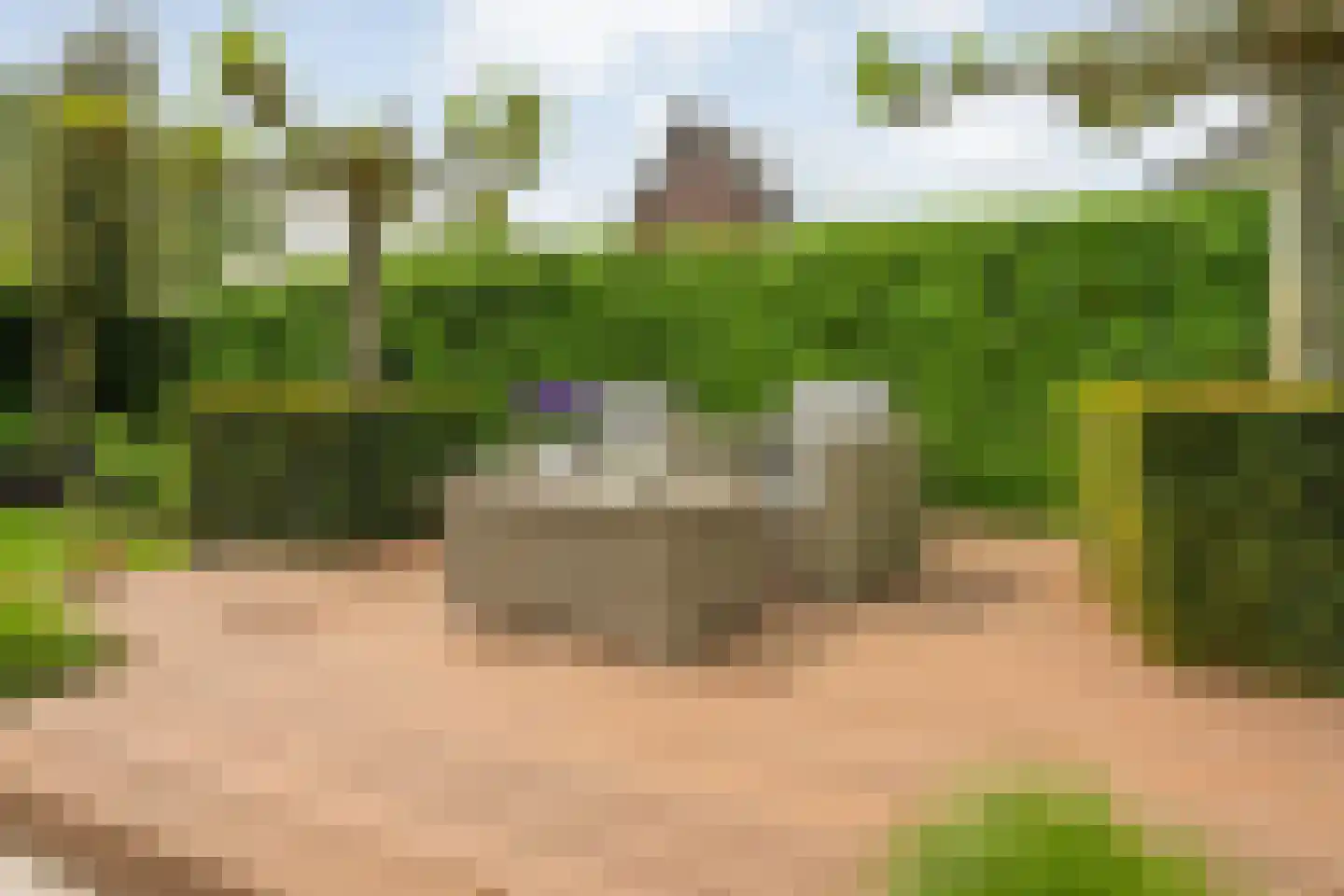 Hesselerbeek 20 Borne thumbnail 38