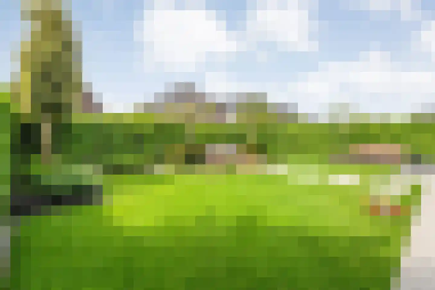 Hesselerbeek 20 Borne thumbnail 40