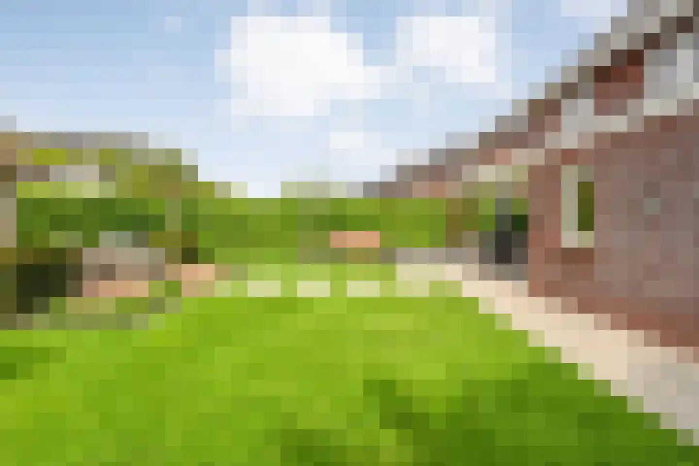 Hesselerbeek 20 Borne thumbnail 41