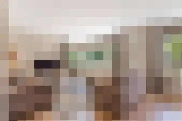 Hesselerbeek 43 Borne thumbnail 6