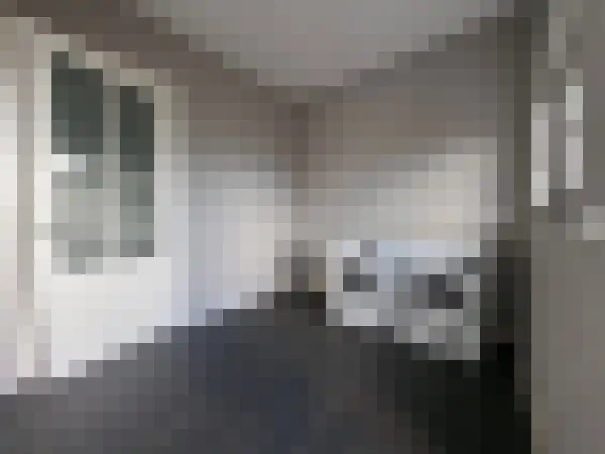Hesselereind 2 A Erp thumbnail 4