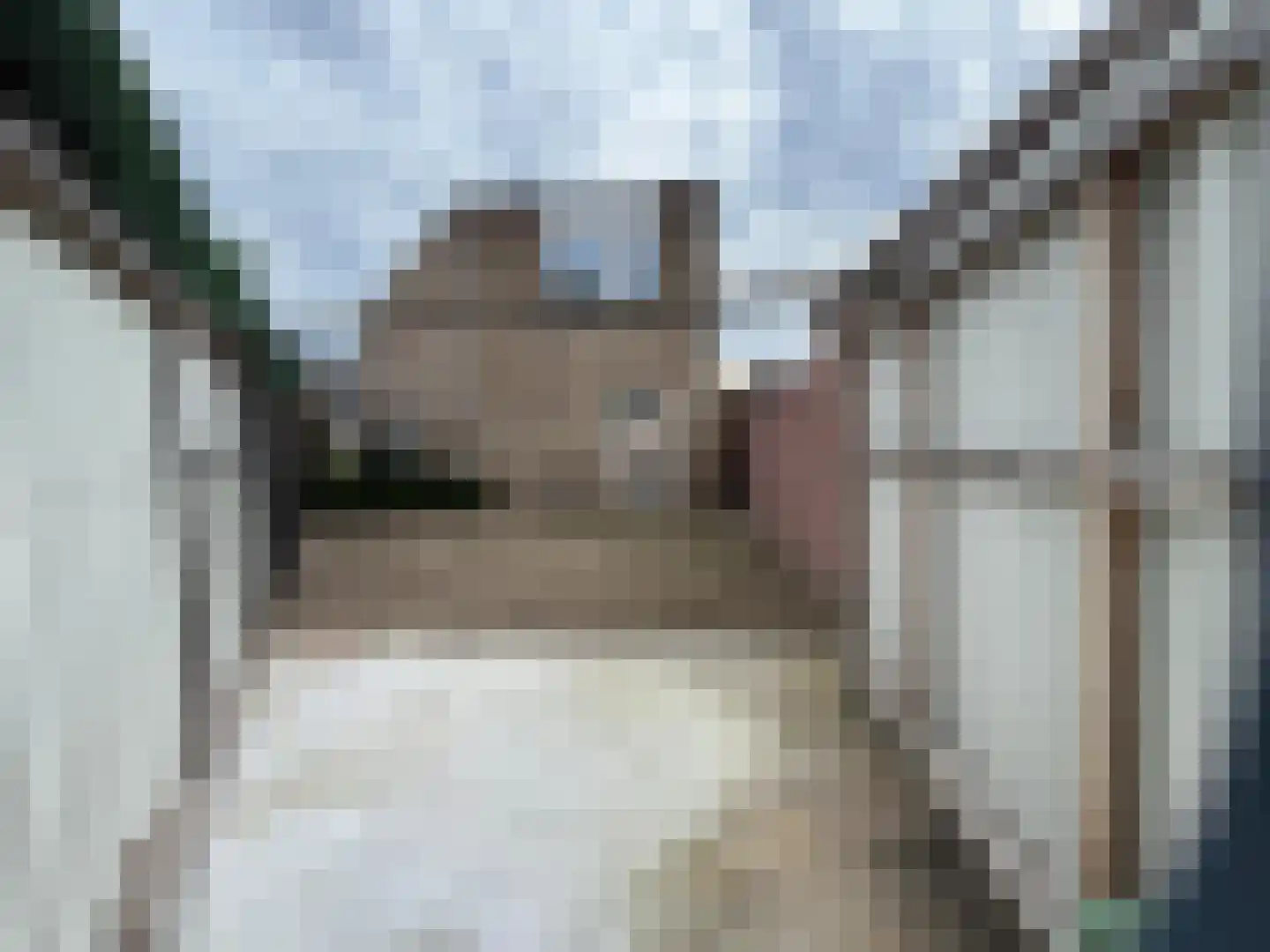 Hesselereind 24 Erp thumbnail 29