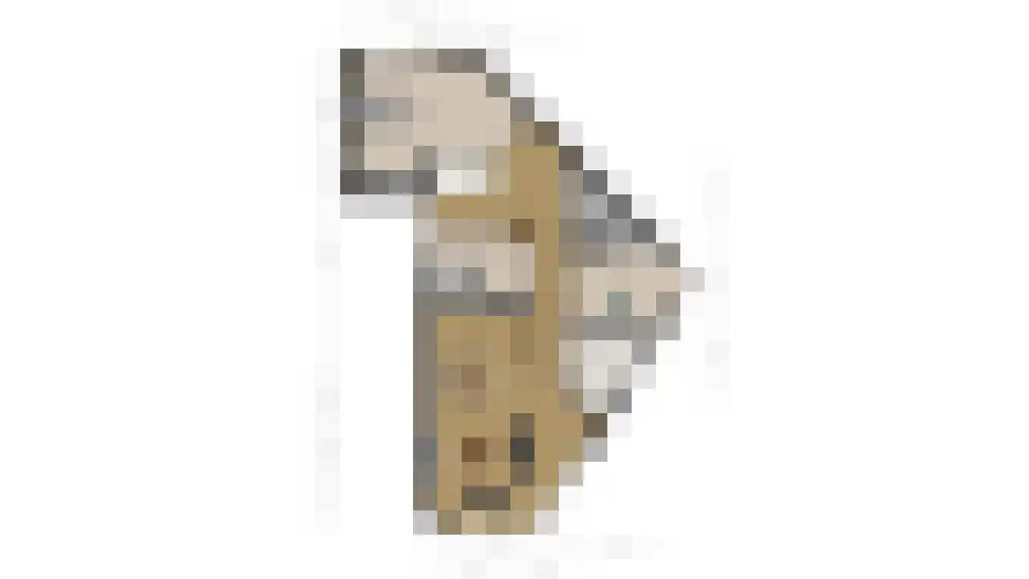Hesselereind 24 Erp thumbnail 37