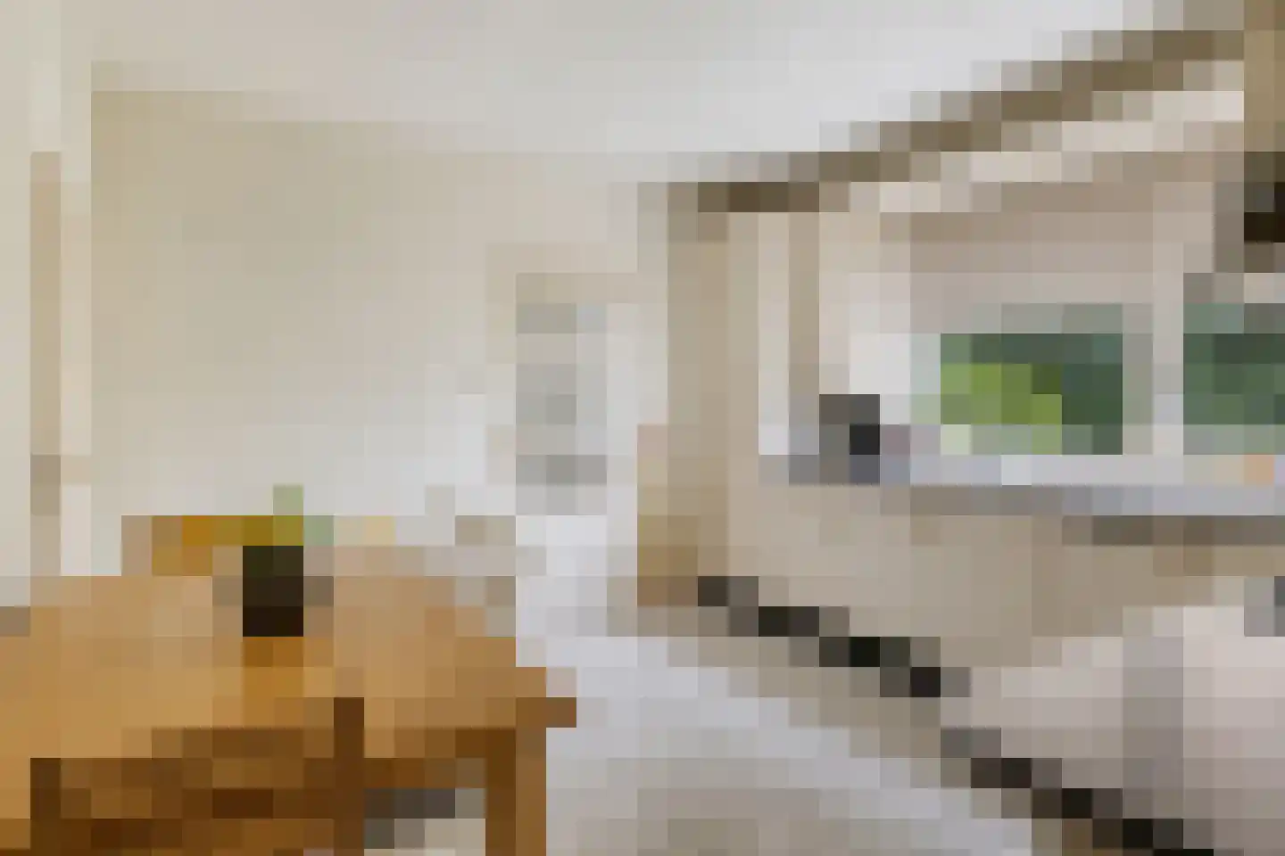 Hesselereind 9 Erp thumbnail 10