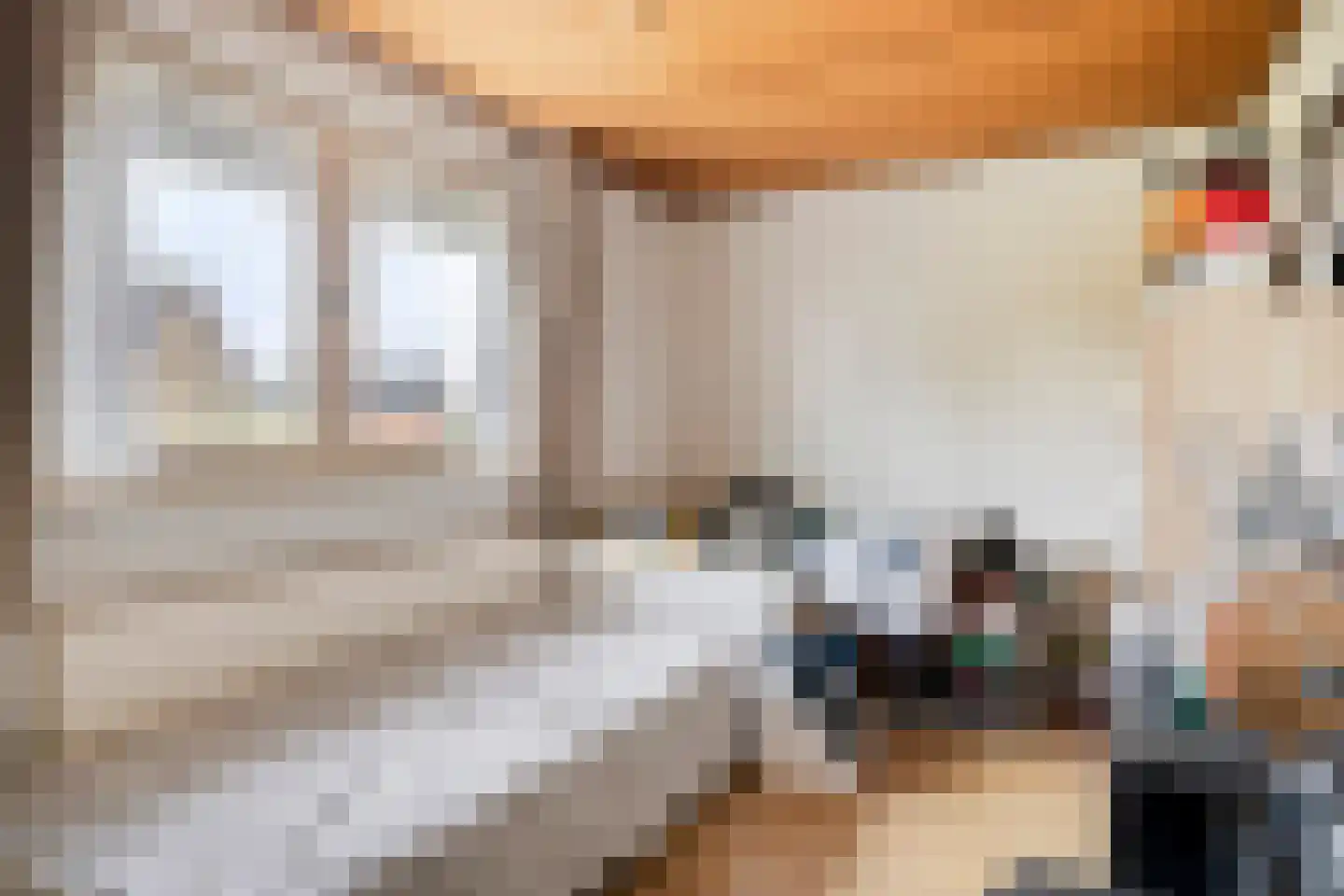 Hesselereind 9 Erp thumbnail 18