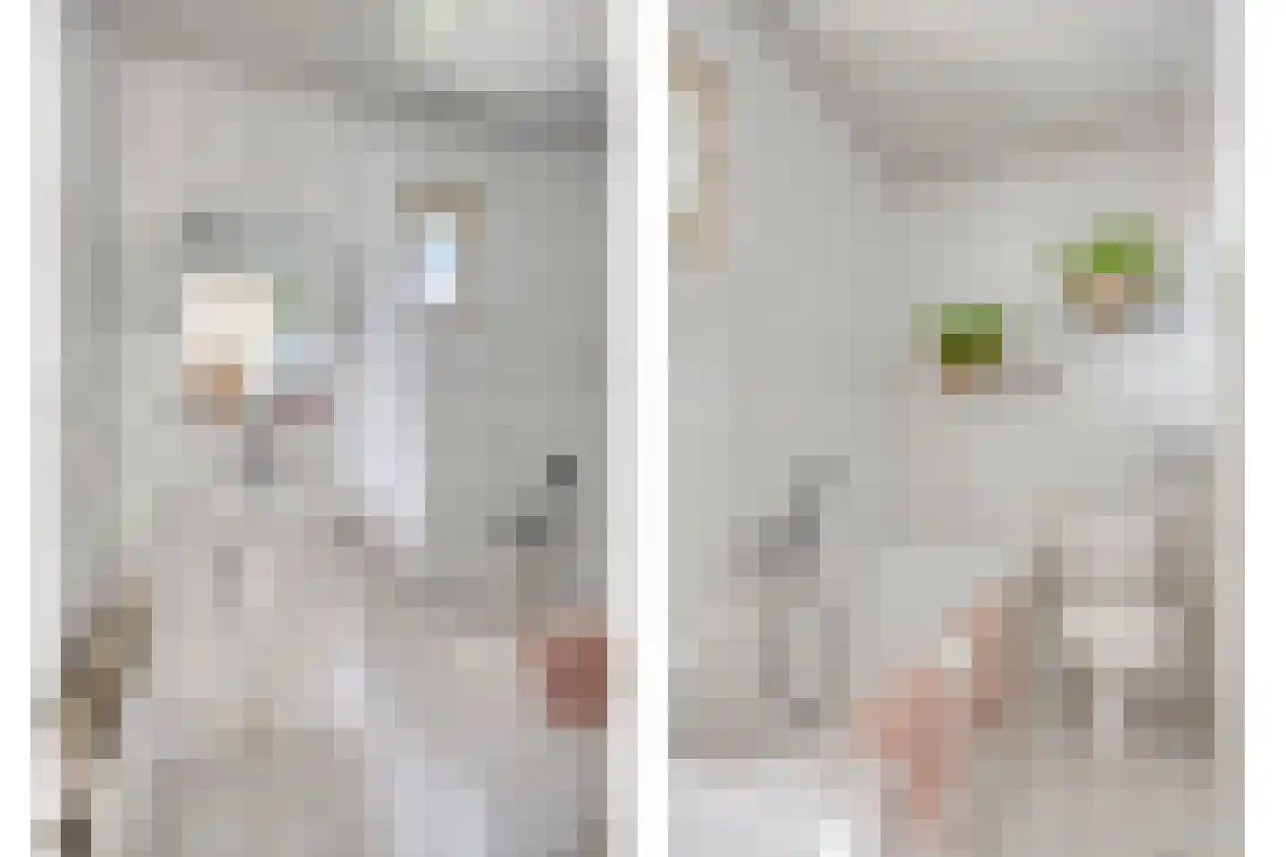 Hesselereind 9 Erp thumbnail 24