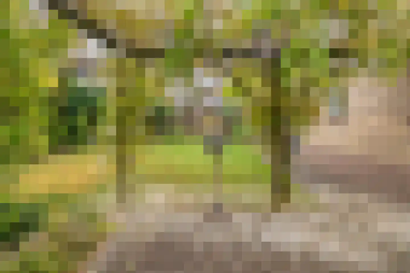 Hesselereind 9 Erp thumbnail 26