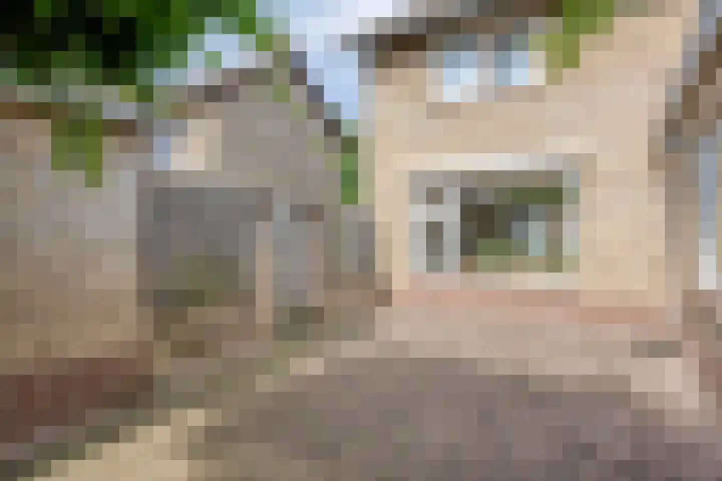 Hesselereind 9 Erp thumbnail 29