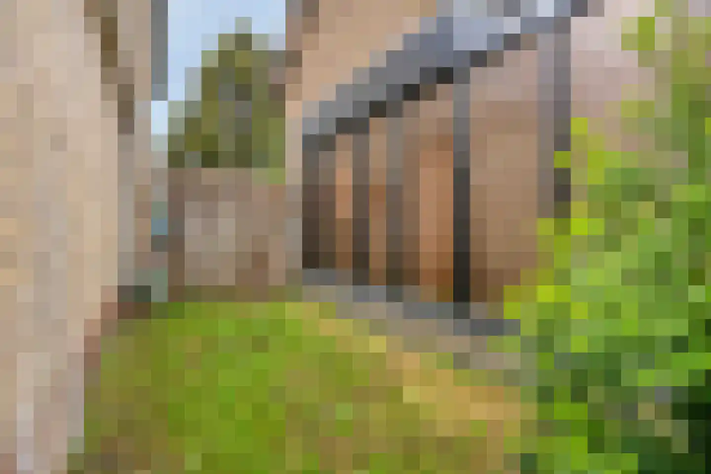 Hesselereind 9 Erp thumbnail 30