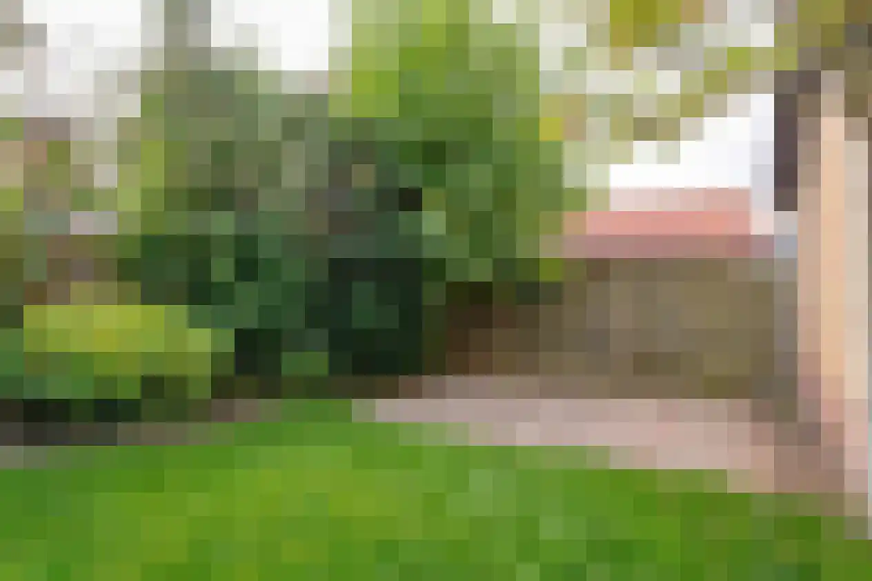 Hesselereind 9 Erp thumbnail 33