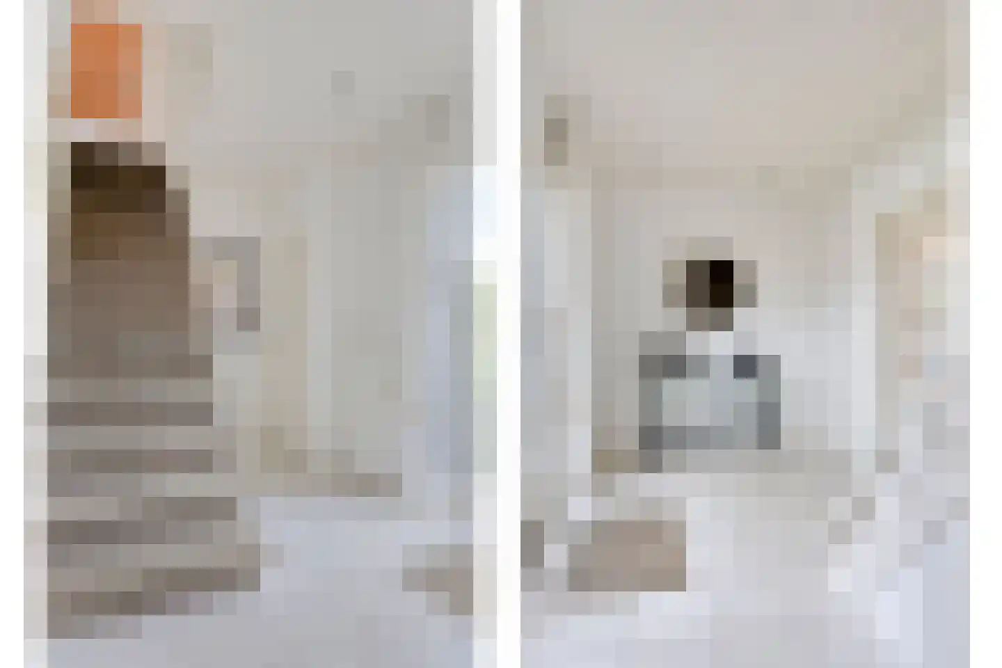 Hesselereind 9 Erp thumbnail 4