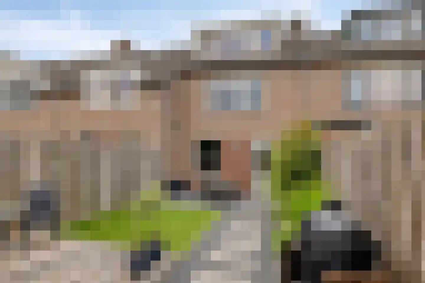 Hesseling 10 Prinsenbeek thumbnail 21