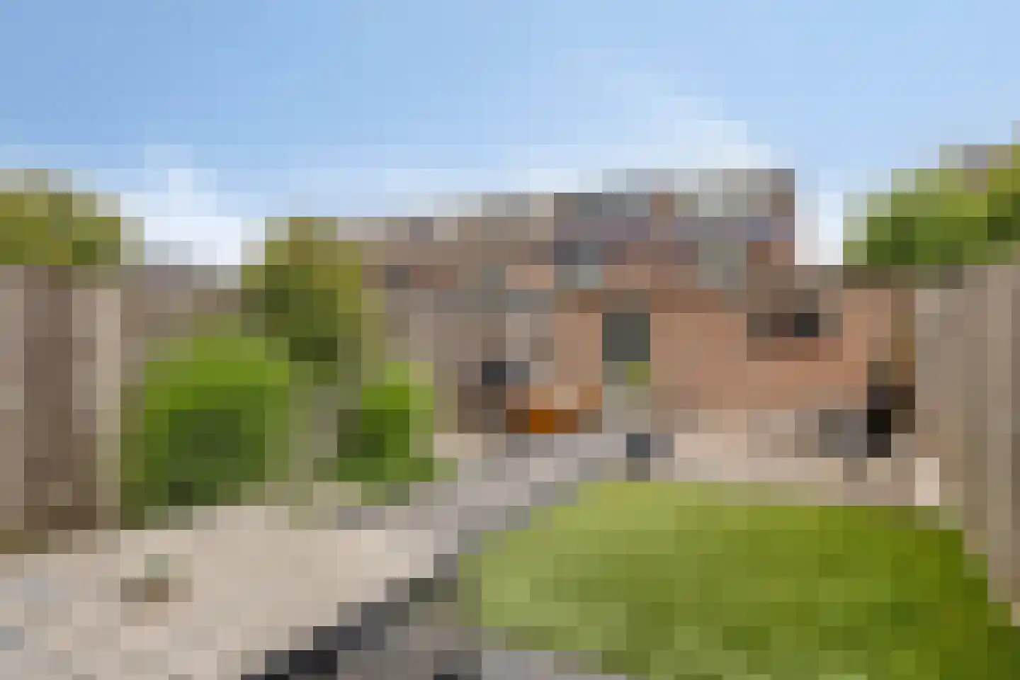 Hesseling 10 Prinsenbeek thumbnail 23