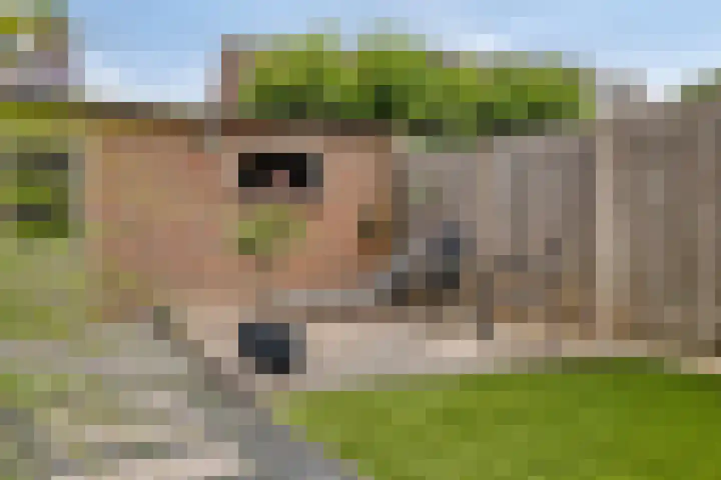 Hesseling 10 Prinsenbeek thumbnail 25