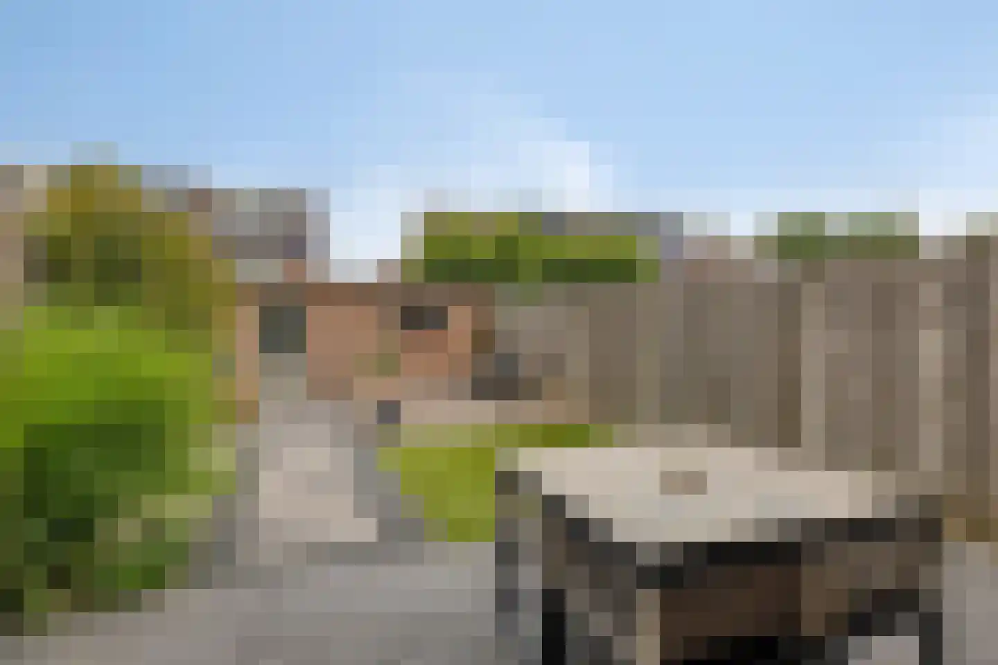 Hesseling 10 Prinsenbeek thumbnail 4