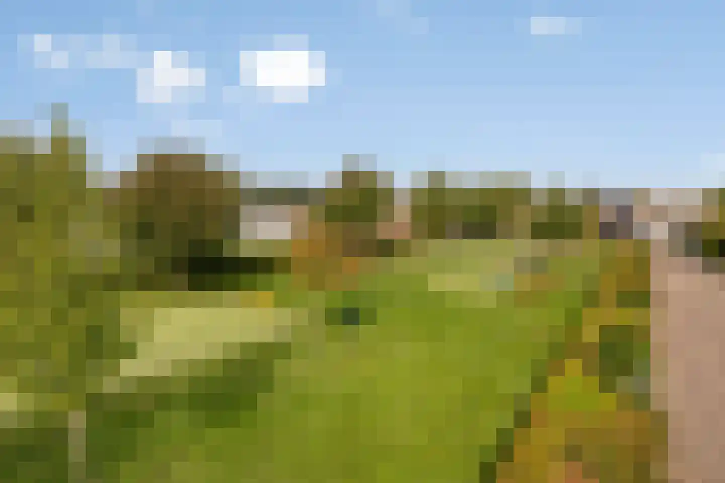 Hesseling 19 Prinsenbeek thumbnail 37