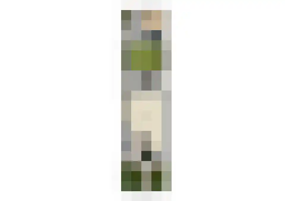 Hesseling 19 Prinsenbeek thumbnail 43