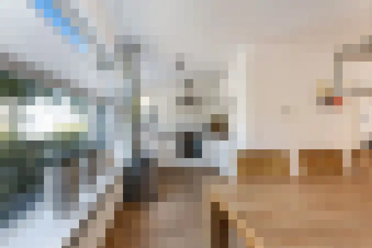Hesseling 27 Prinsenbeek thumbnail 21