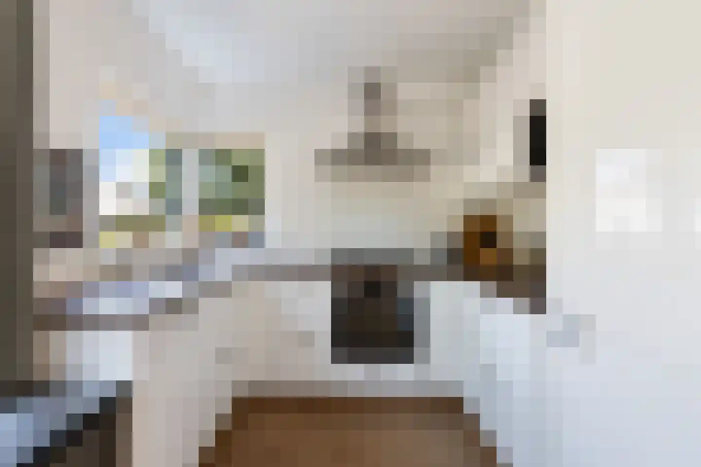 Hesseling 27 Prinsenbeek thumbnail 22