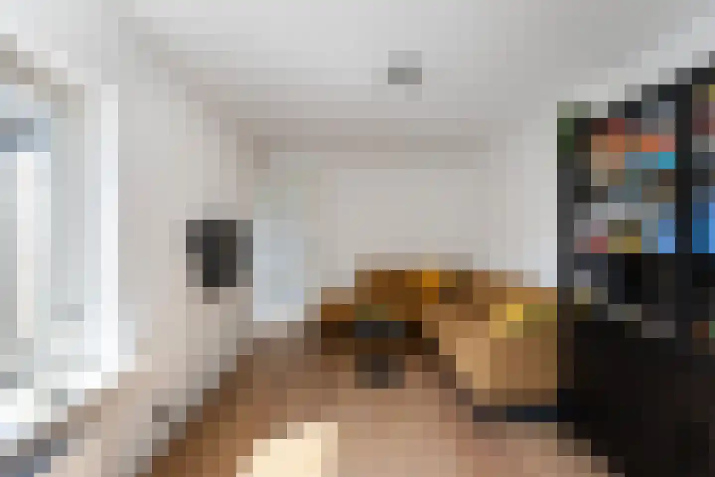 Hesseling 27 Prinsenbeek thumbnail 26