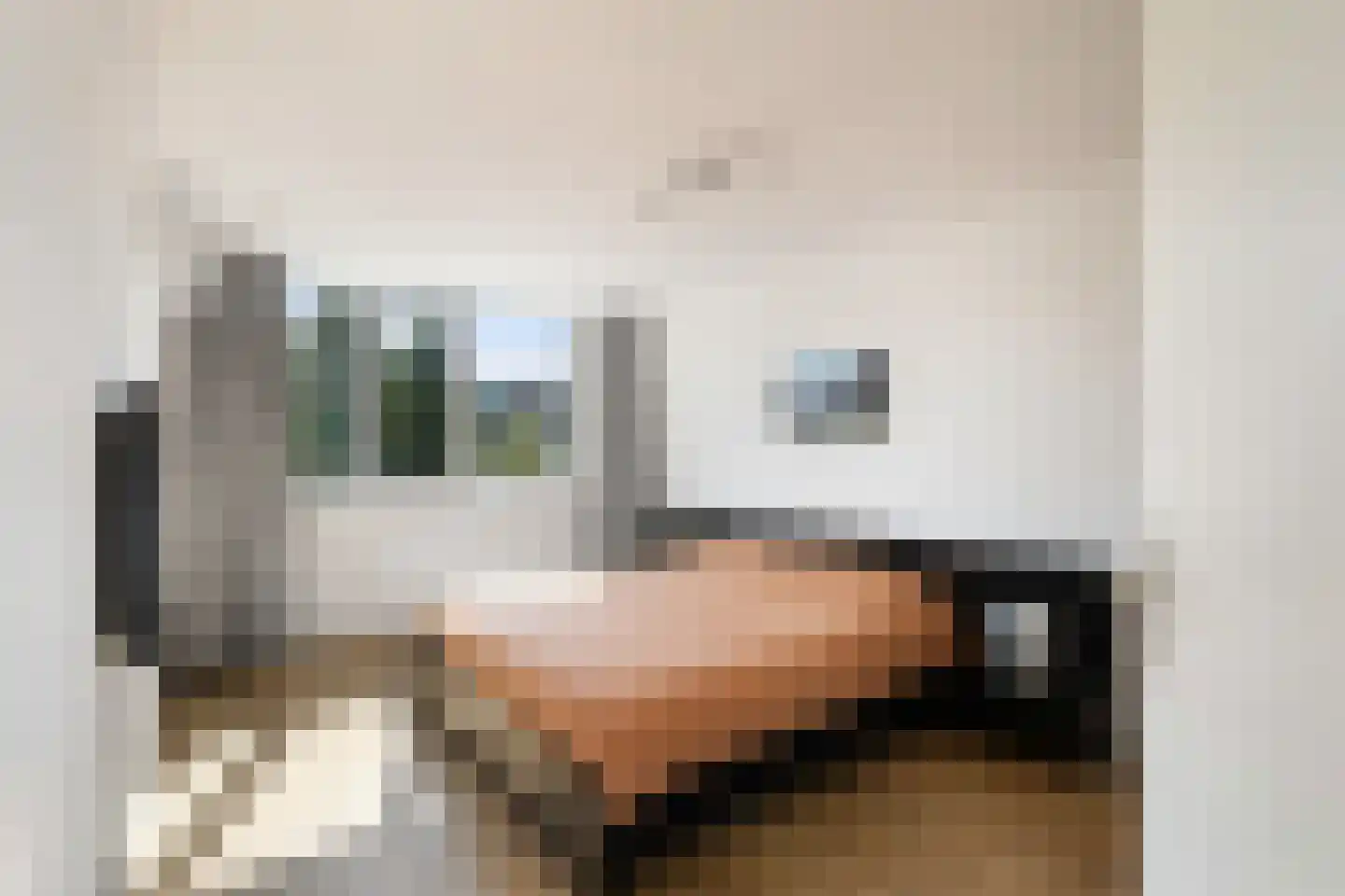 Hesseling 27 Prinsenbeek thumbnail 28