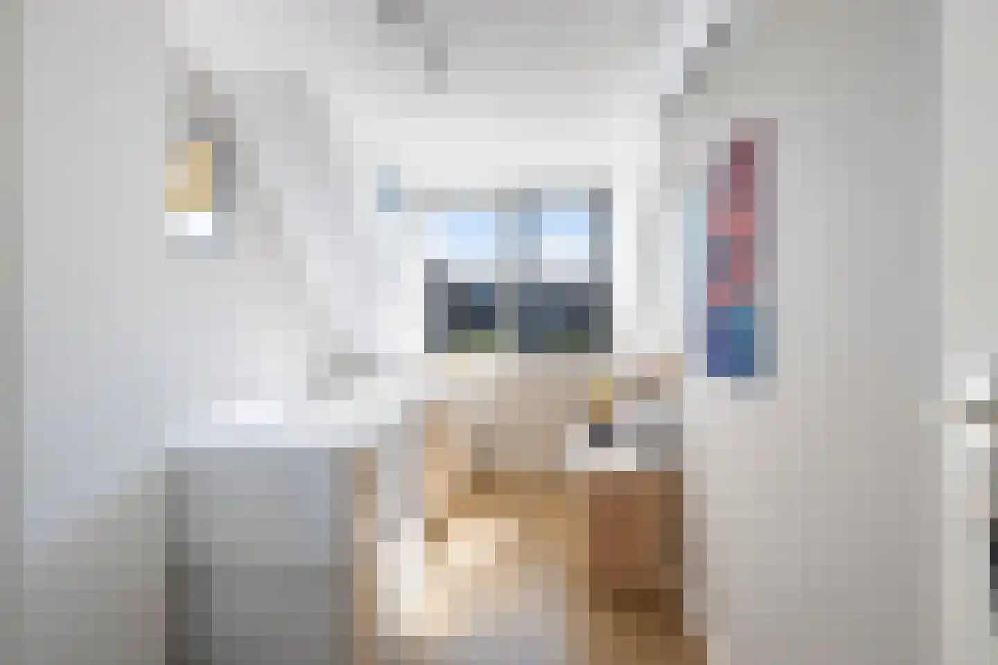 Hesseling 27 Prinsenbeek thumbnail 30