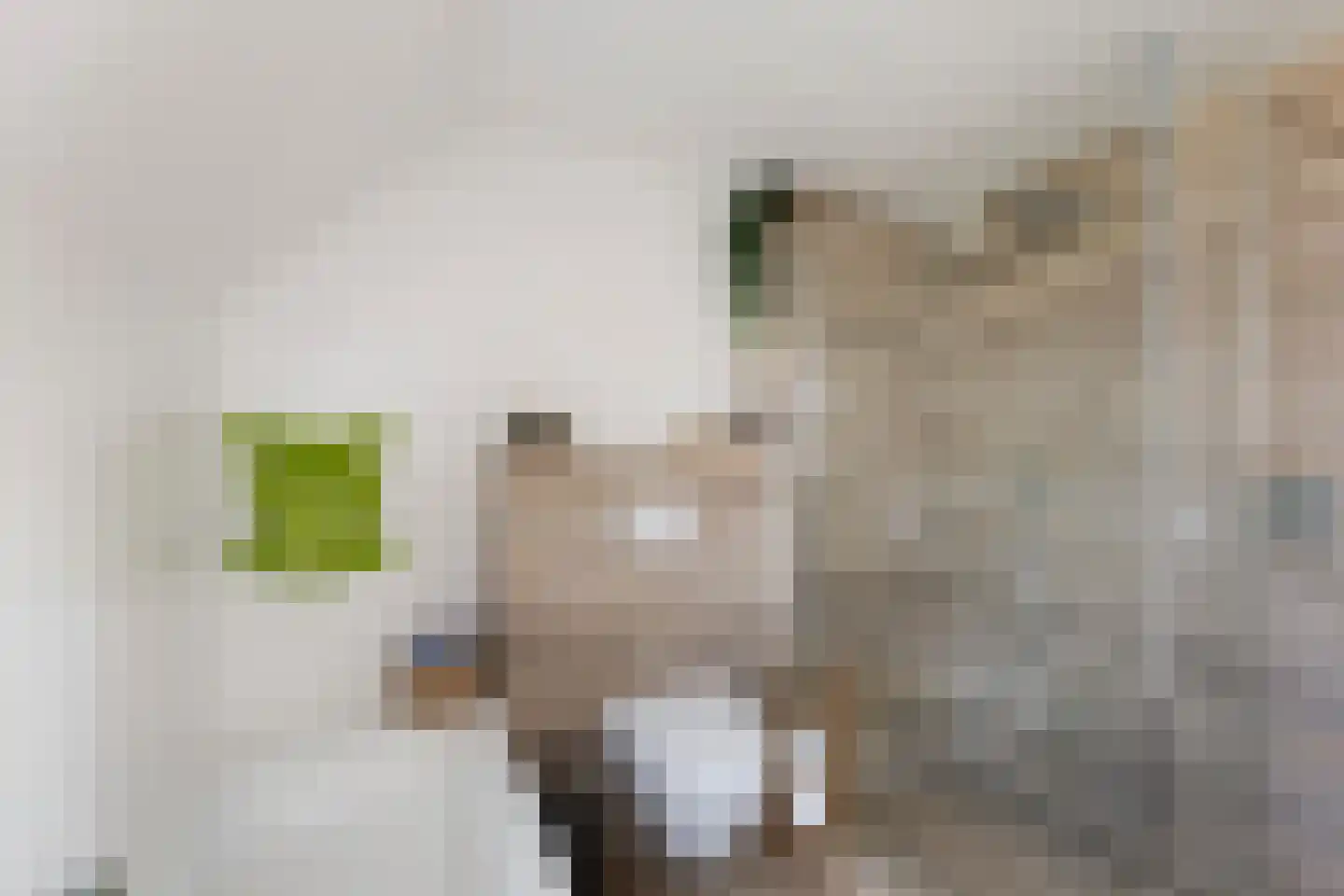 Hesseling 27 Prinsenbeek thumbnail 35