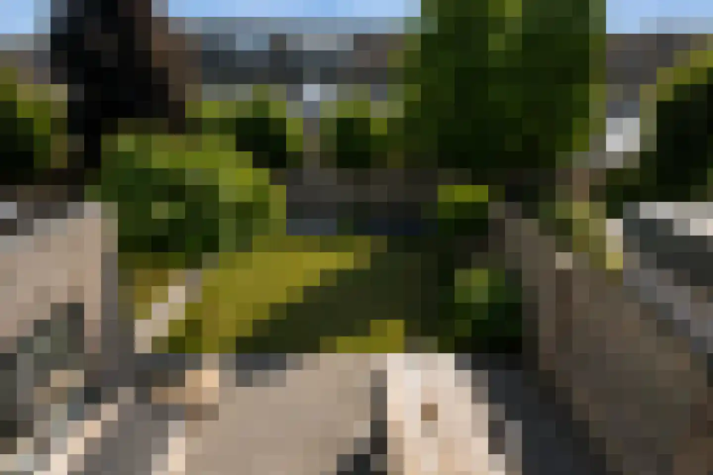 Hesseling 27 Prinsenbeek thumbnail 39